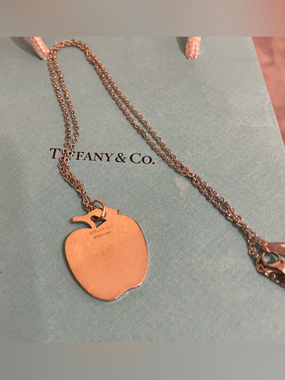 Tiffany & Co. Apple Pendant Necklace - Silver Tone